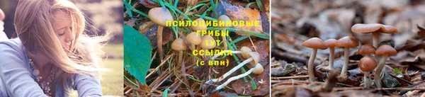 Альфа ПВП Касимов