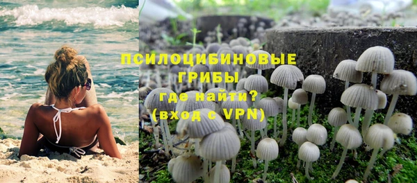ГАЛЛЮЦИНОГЕННЫЕ ГРИБЫ Карталы