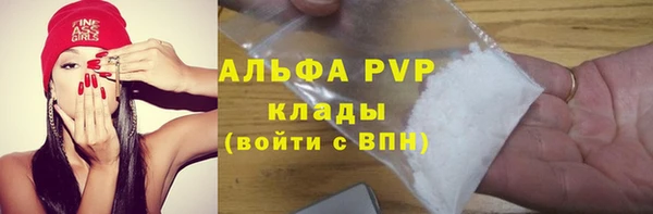 ГАЛЛЮЦИНОГЕННЫЕ ГРИБЫ Карталы