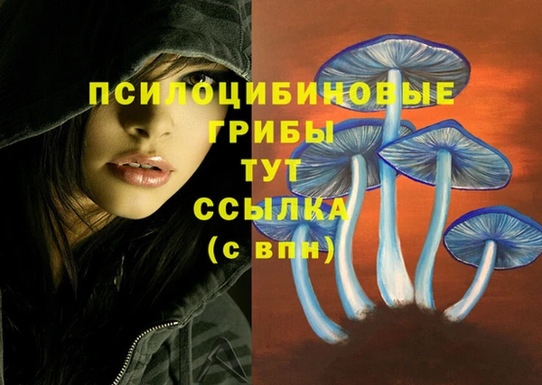 ГАЛЛЮЦИНОГЕННЫЕ ГРИБЫ Карталы