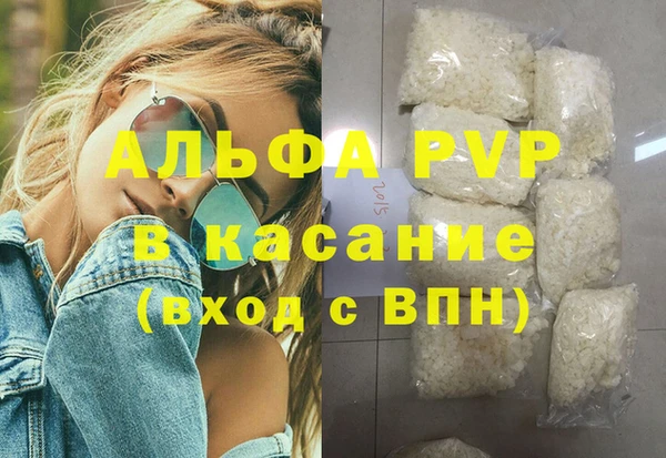 ГАЛЛЮЦИНОГЕННЫЕ ГРИБЫ Карталы