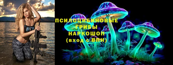 a pvp Карпинск