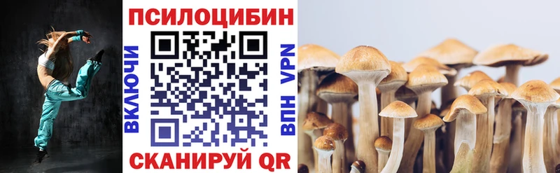 Купить  Клин  Галлюциногенные грибы Cubensis 